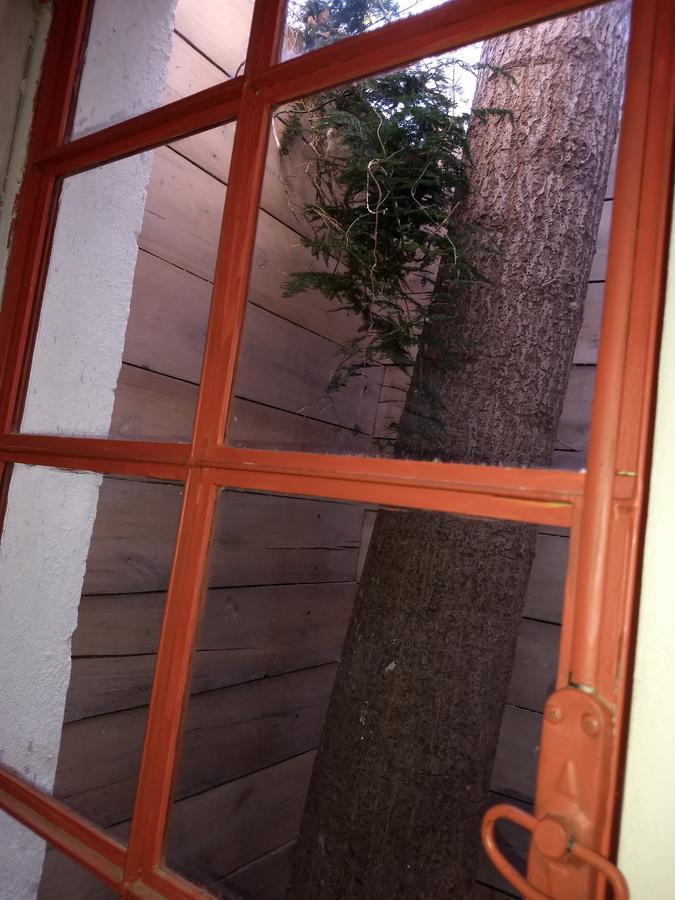 El Tamarisco Διαμέρισμα Puerto Pirámides Εξωτερικό φωτογραφία